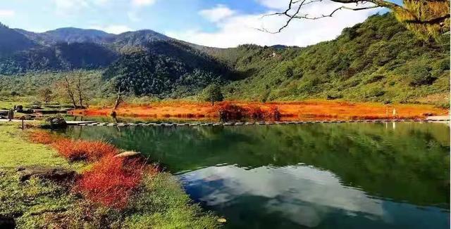 红了！黑竹沟迎颜值巅峰快去穿越五彩童话世界