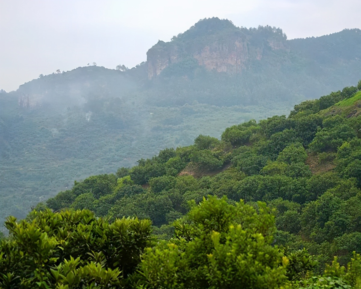 长三角城市群最佳旅游线路,长三角示范区旅游详细攻略