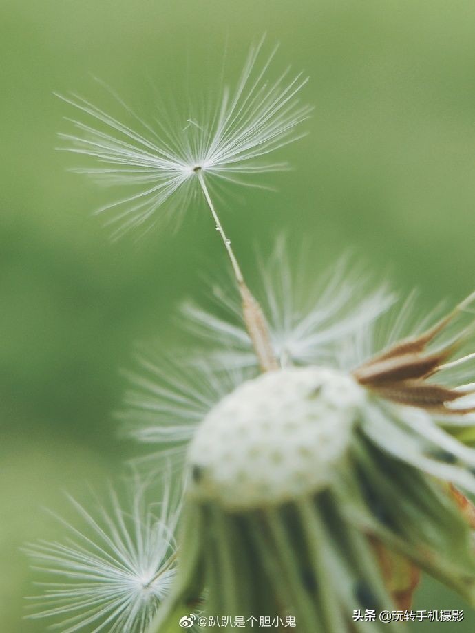 小米手机拍不了横屏照片,小米手机拍不出原有颜色