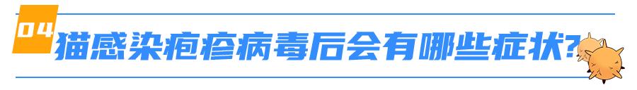 猫感染疱疹咳嗽,猫有眼屎打喷嚏怎么回事