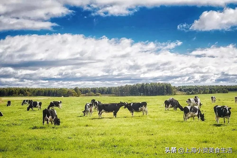 大陆首店！ins人气甜品东京牛奶芝士工坊来魔都啦