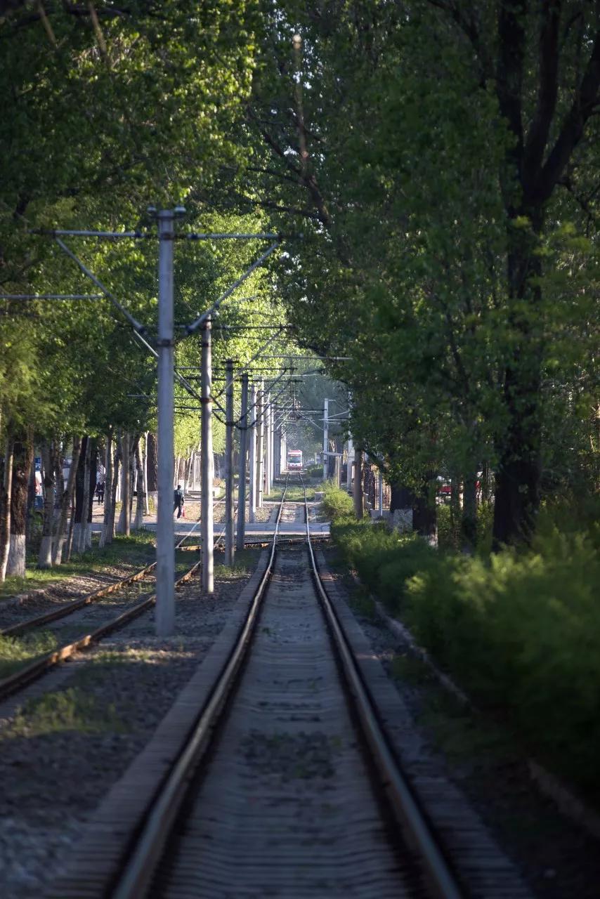 东北三省最适合宜居的城市,东北三省宜居养老城市