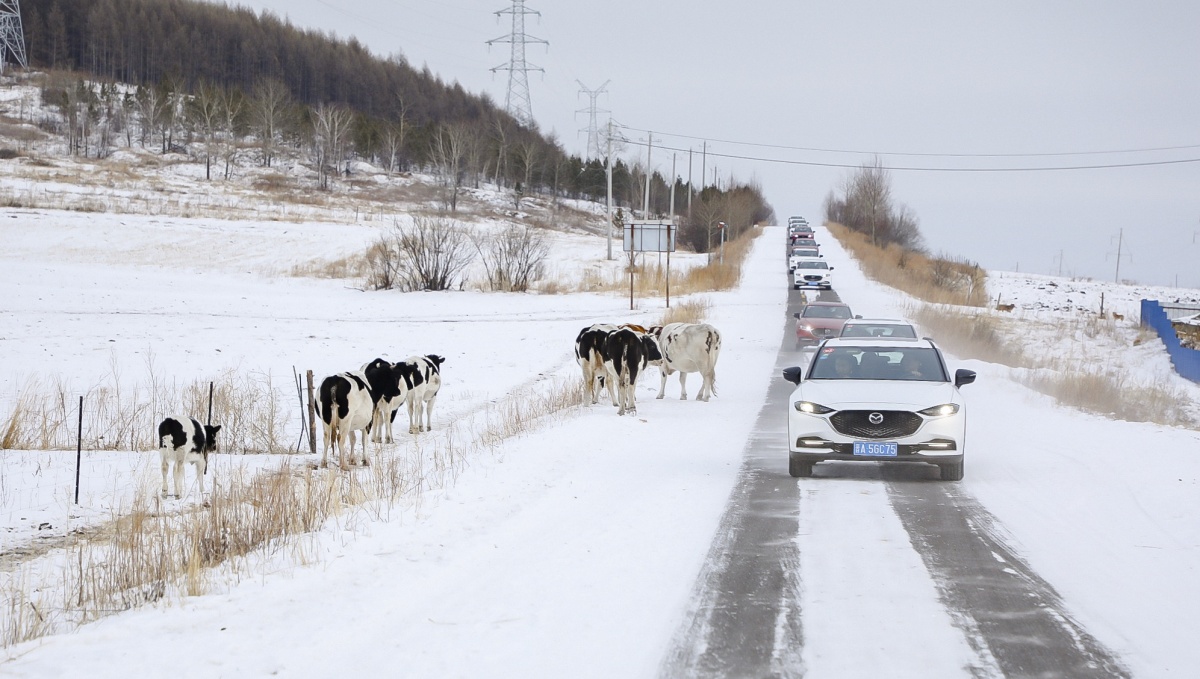 现在的马自达也会叫马自达,长安马自达与马自达