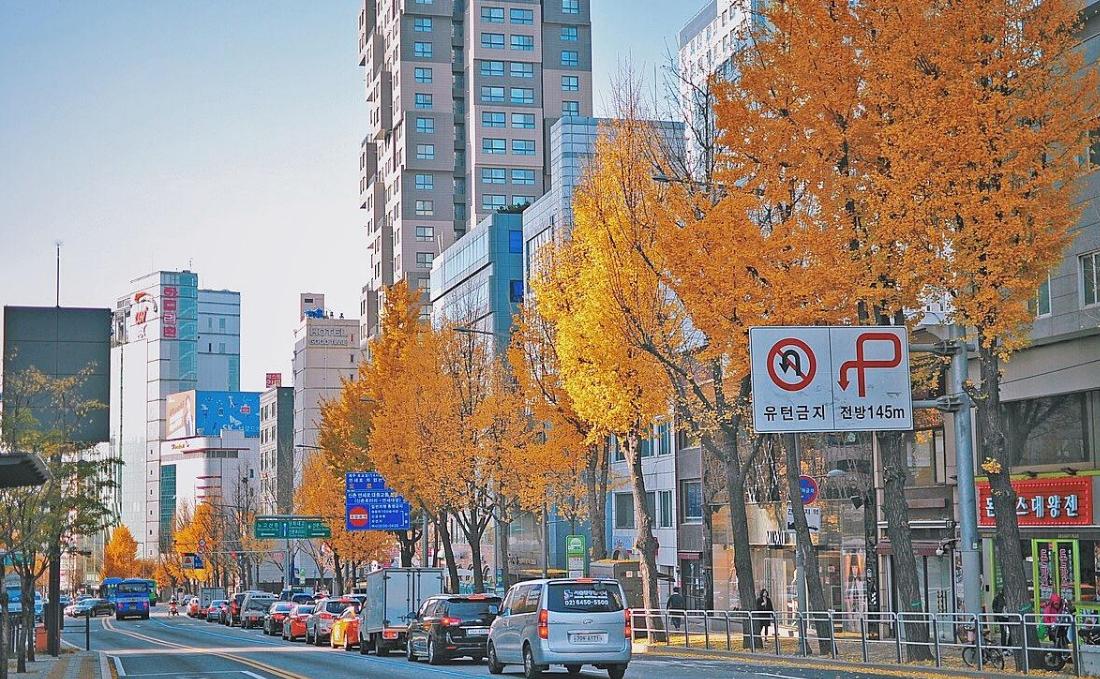 韩国自由行最全攻略,韩国自由行攻略详细