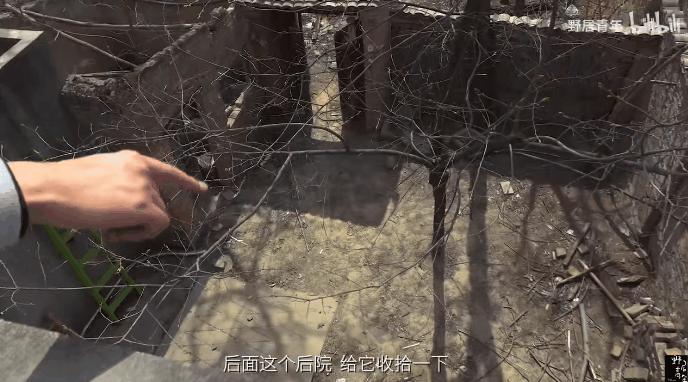 三个90后在海南租一套别墅,3个90后深山隐居