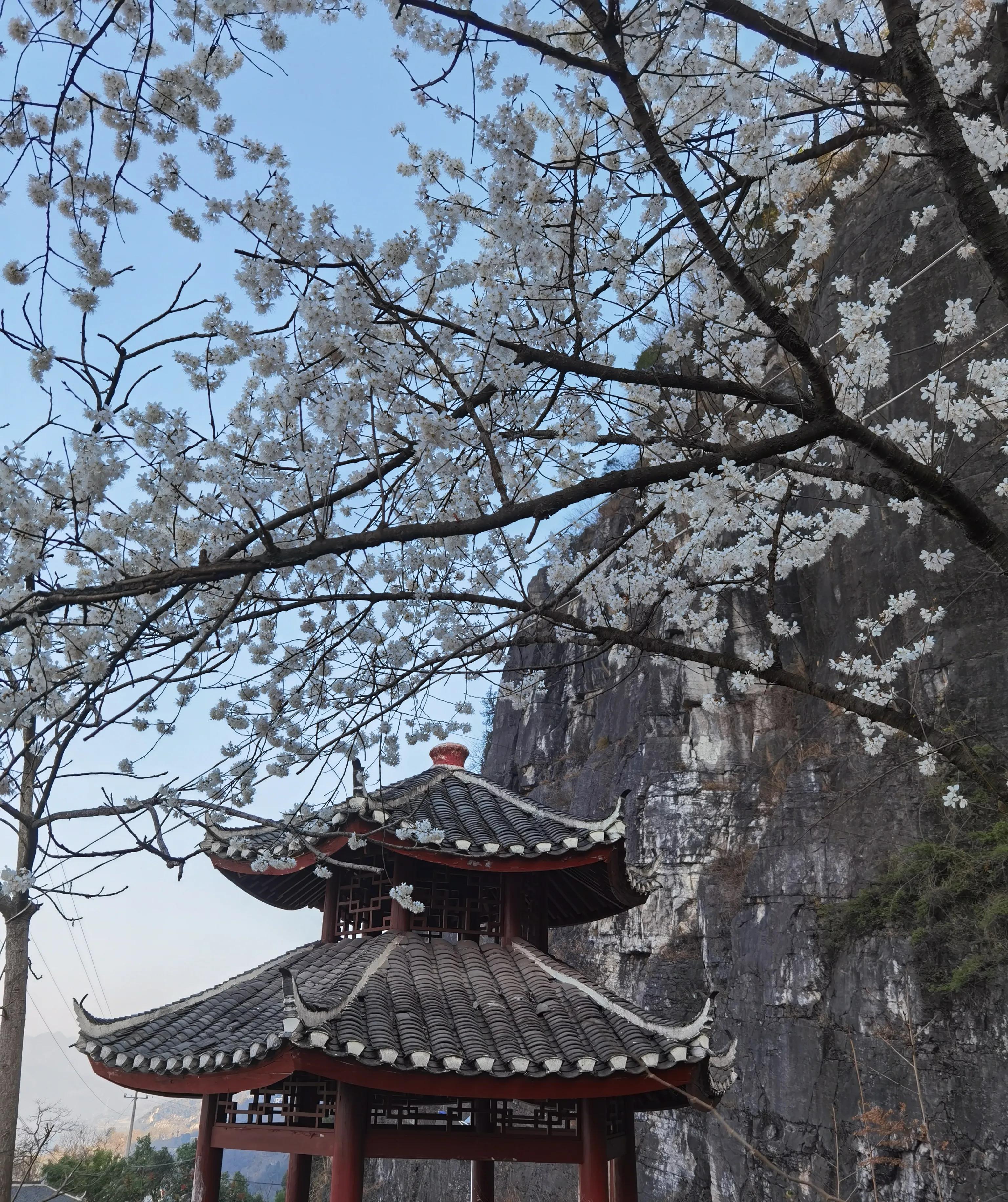 内直而外曲,内直外曲是什么处世之道