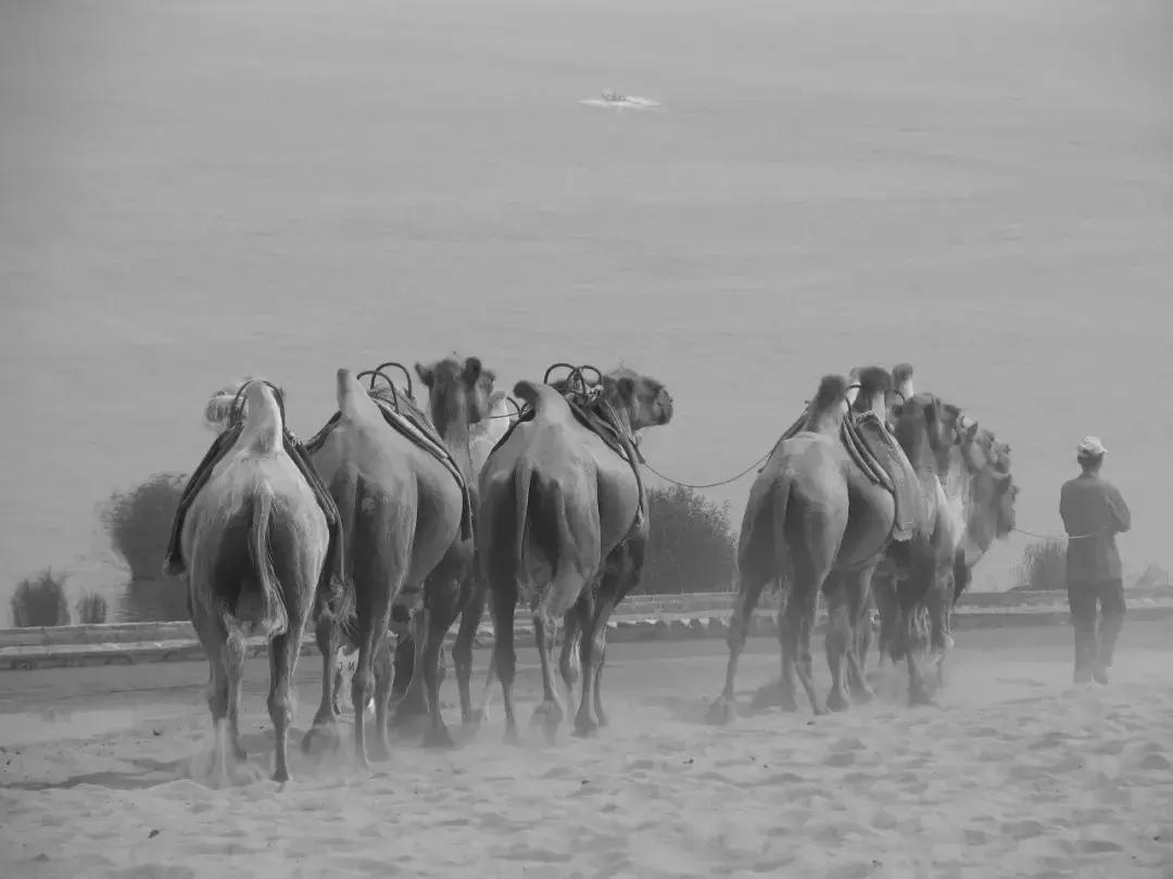 纸上的光影和字：6月30日，来看中国20位诗人的街拍摄影展