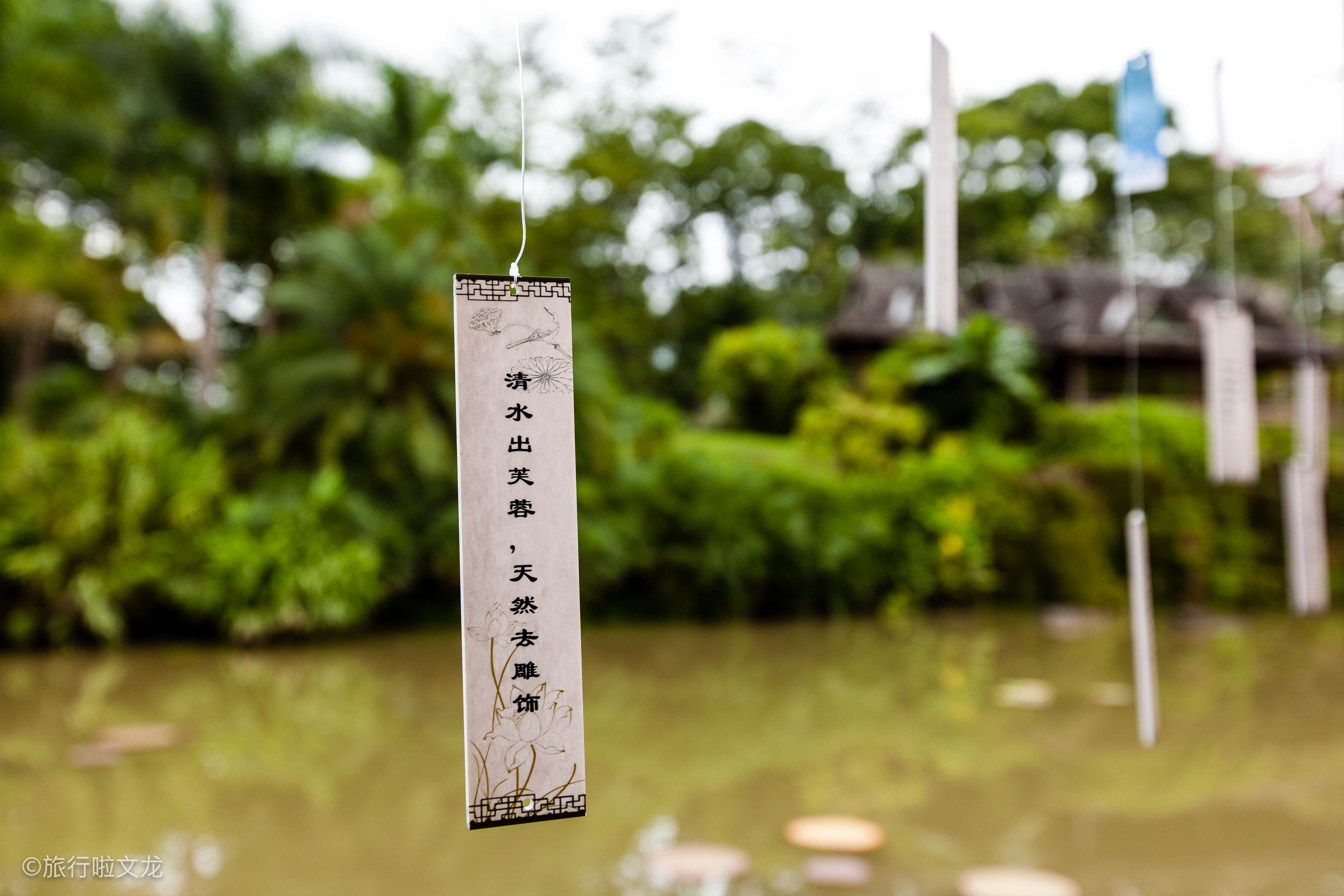 科学院西双版纳雨林海拔高度,中科院西双版纳勐仑热带植物园