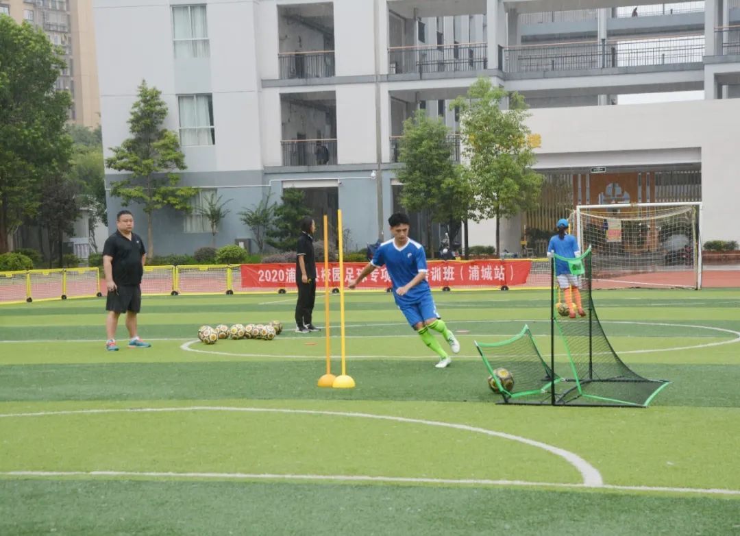 派迪茵体育用品有限公司,派迪茵体育有限公司