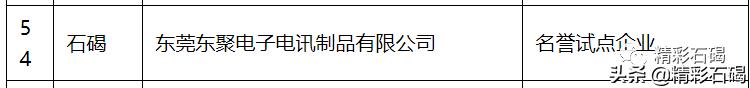 东莞20余企业入选倍增计划,东莞市倍增计划企业名单
