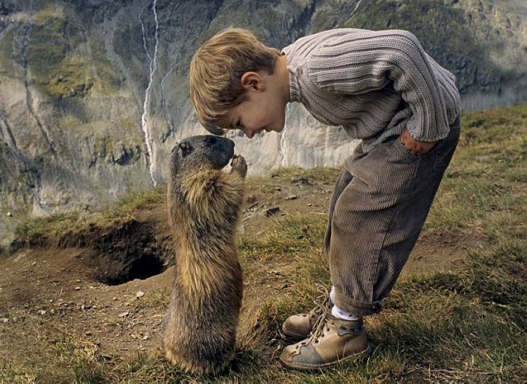 明明是个友好的中国人，为什么澳洲人还是觉得你没礼貌？