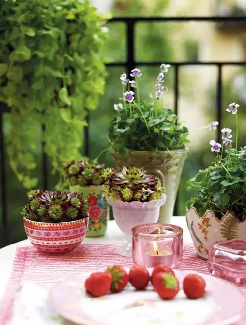 阳台打造成小花园超好养,阳台打造成小花园