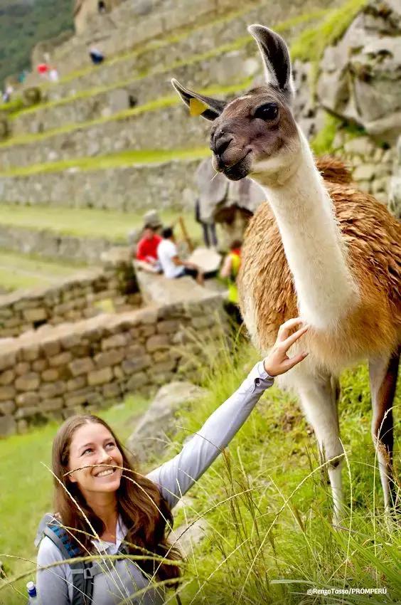 原来秘鲁的历史有那么长长长长长长长长长