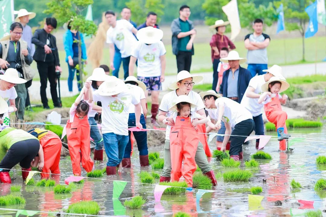 外冈新发展,外冈镇有发展吗