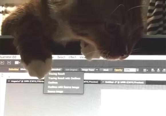 招财猫美国,招财猫可以招财