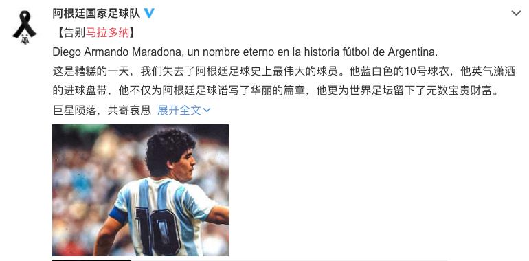 马拉多纳与阿根廷,马拉多纳与阿根廷人