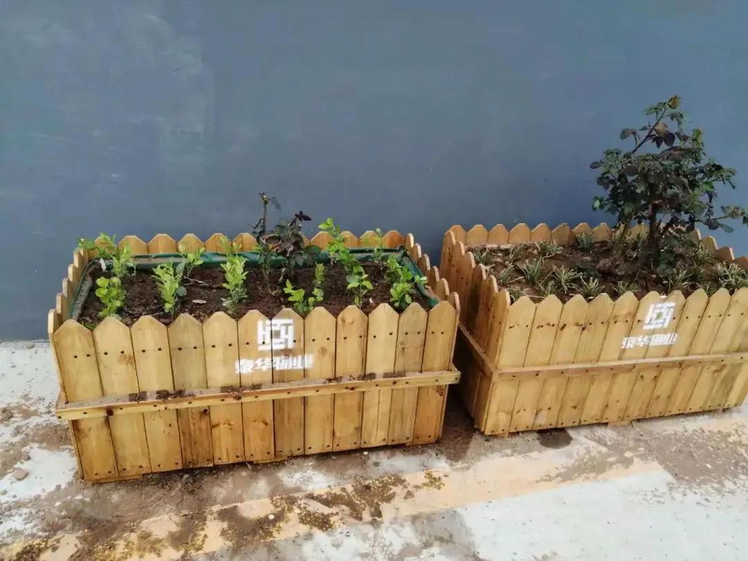 泰华物业新消息,泰华小区最新消息