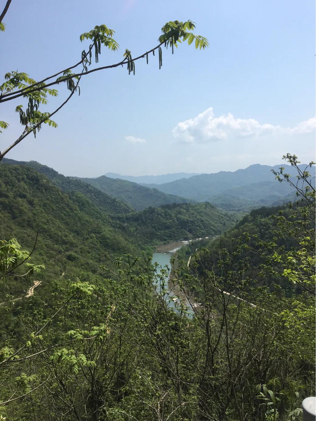 大山里三线厂旧址,谷城县今年有啥重大工程