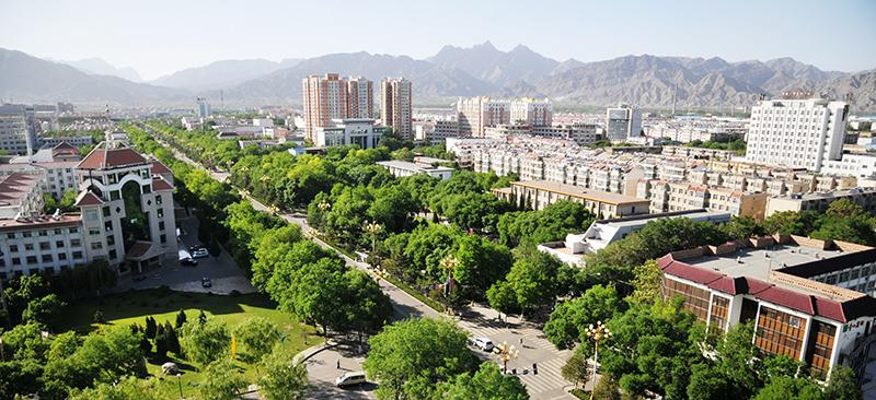 宁夏回族自治区政府,宁夏回族自治区区号