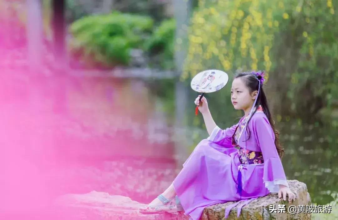 清凉寨樱花最佳赏花时间,清凉寨中华樱花