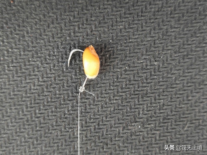 卡麦子过时了吗？解析小矶杆长子线的实际运用