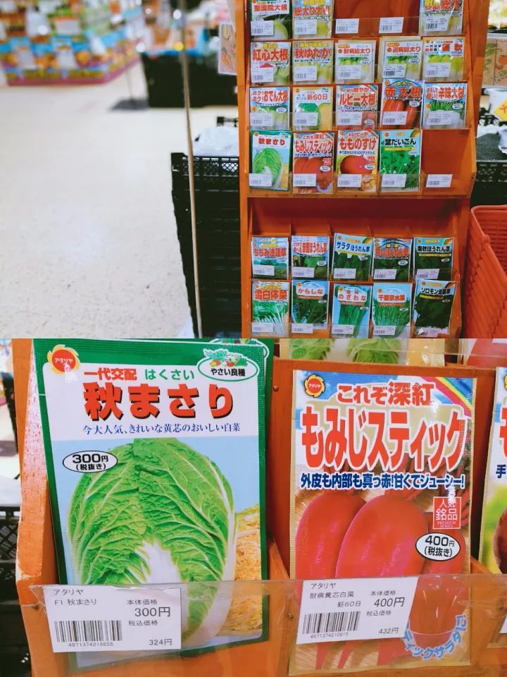 旅行社常惦记，却又被游客遗忘，这样的北海道游走之城不多了