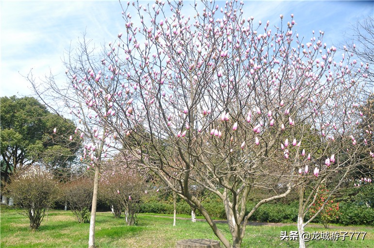重游天一度假村,重游旧地去哪玩