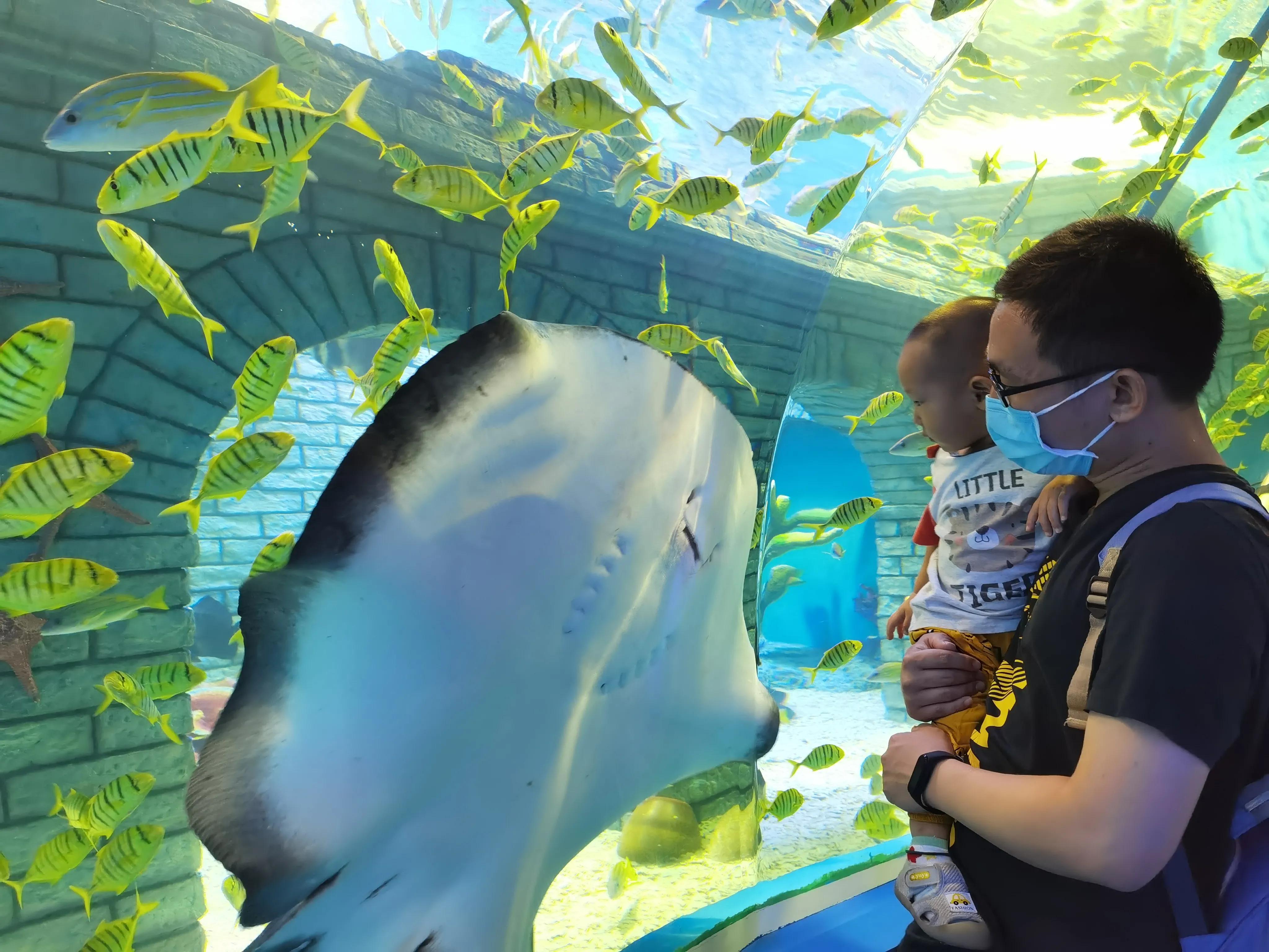 天津海洋馆新开的儿童乐园,天津适合孩子玩的水上乐园