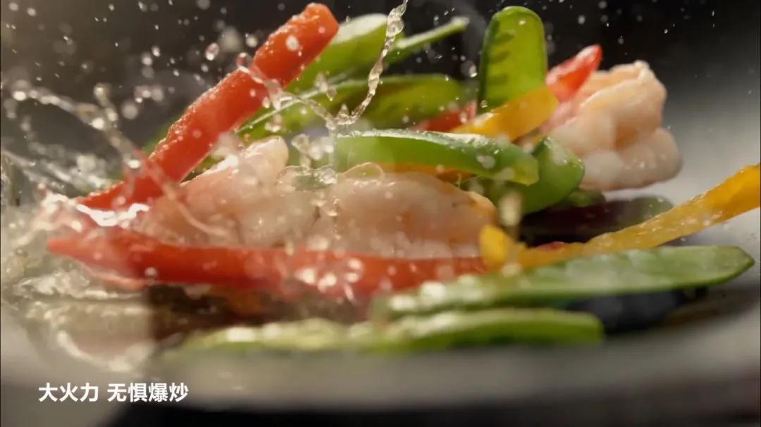 燃气灶8301,8370燃气灶