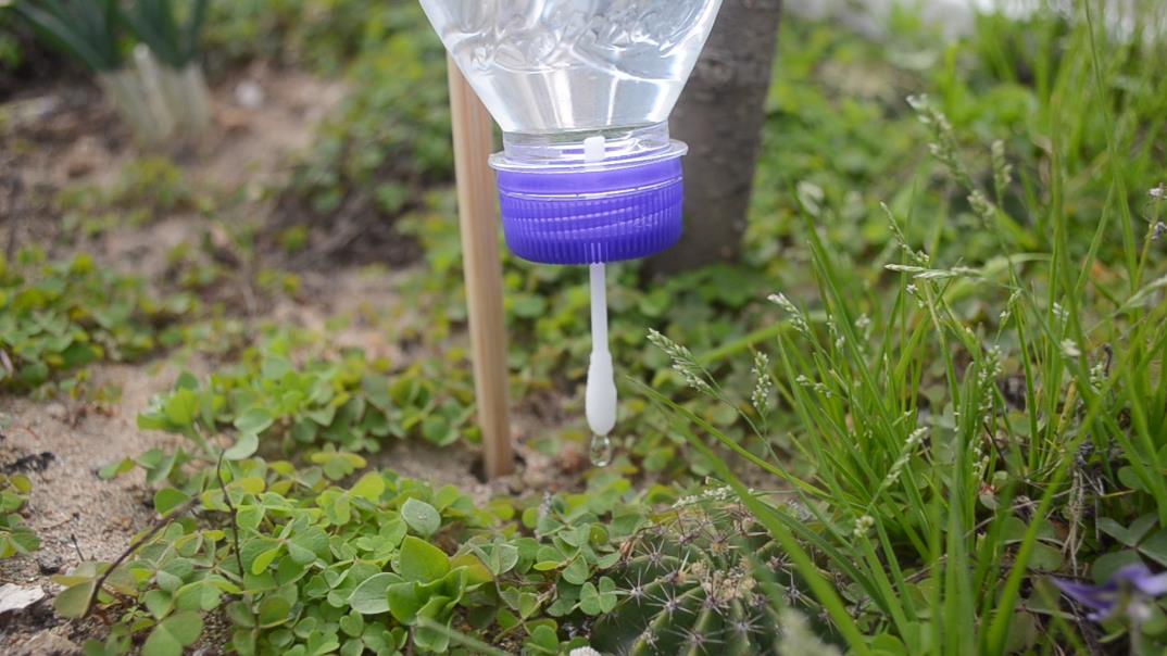 一个塑料瓶一根棉签，教你做自动浇水器，不用担心花草没人浇水了