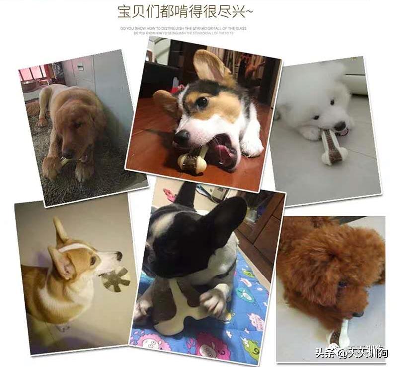 狗狗喜欢的玩具排行榜大全,狗子喜欢什么玩具