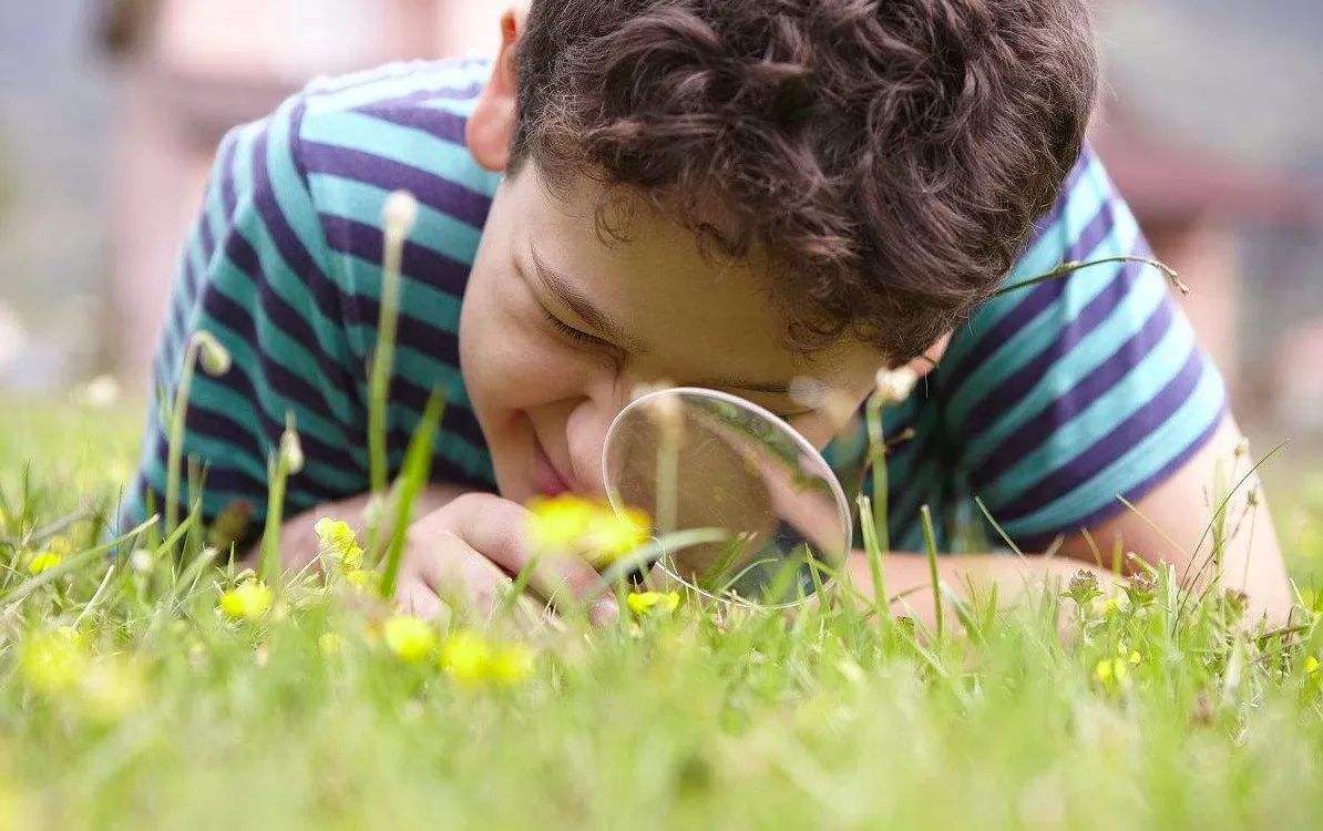 考得好就奖励的孩子会怎样,考得好就给奖励对吗