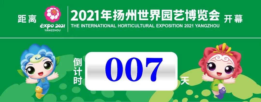 世园会攻略一日游,世园会游玩注意事项