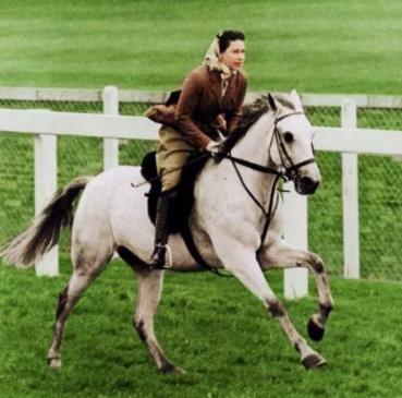 贵族娃都爱骑马?4岁夏洛特公主想要小马当圣诞礼物,乔治爱踢球