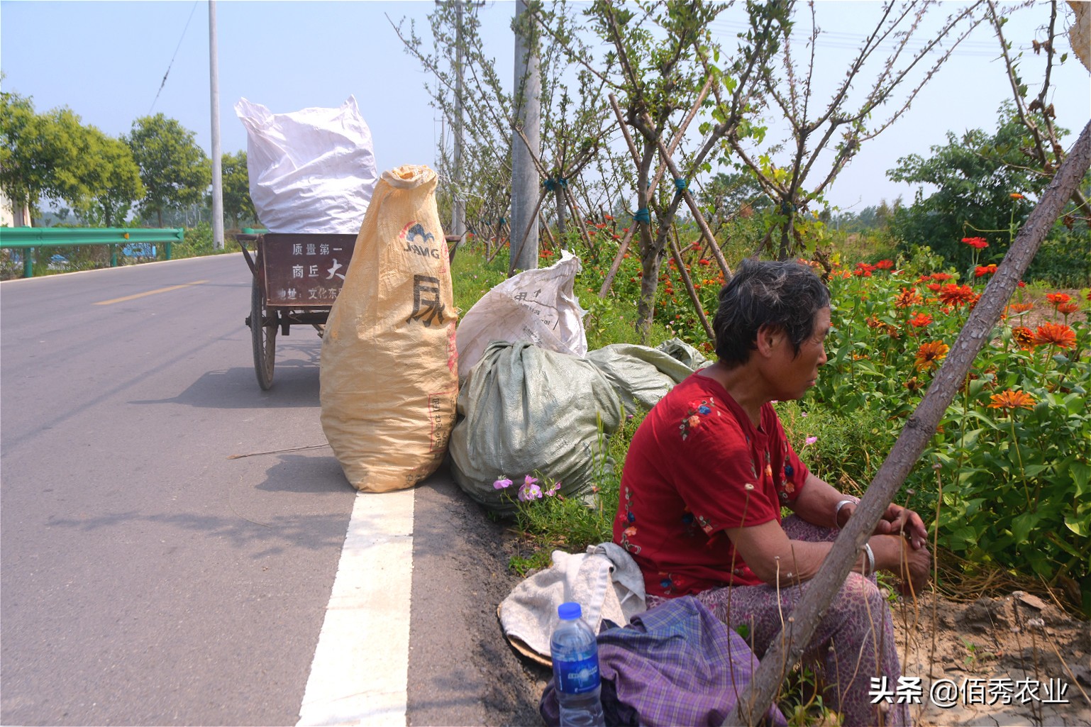 茅台泡沫破灭会有什么后果,茅台酒炒作泡沫会破灭吗