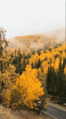 阿勒泰秋季旅行,新疆旅行阿勒泰秋天