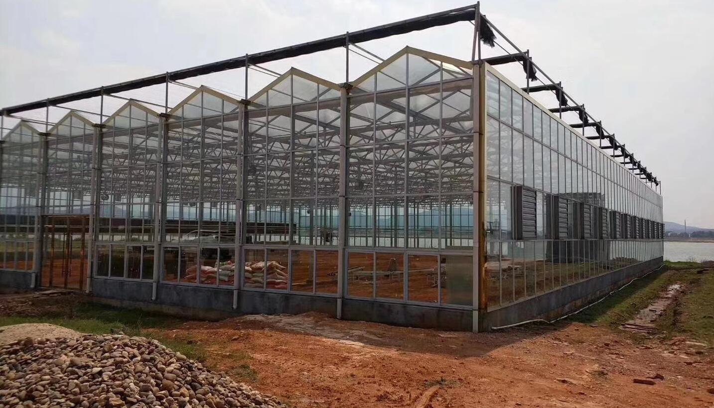 蔬菜种植日光温室时间,日光温室大棚种植什么比较好