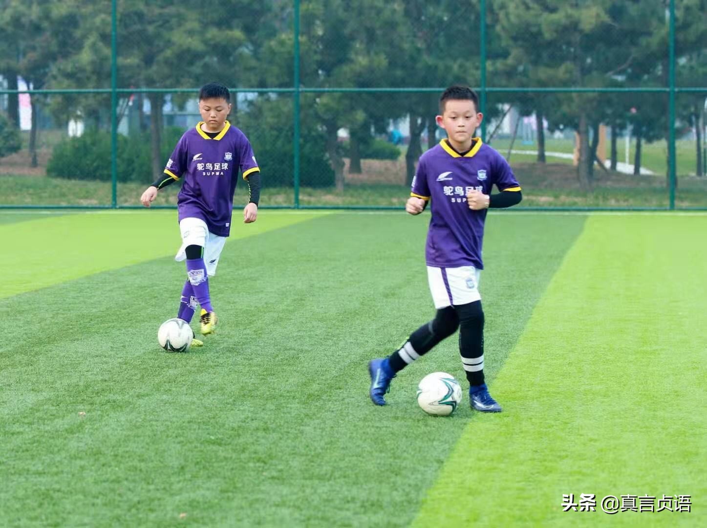 王耀洲原创散文丨“足球盲”的足球梦