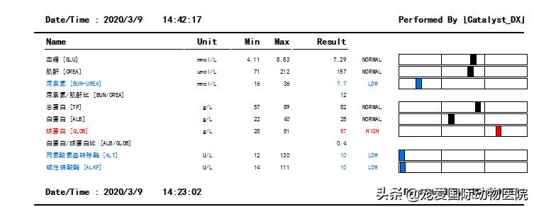 猫传腹治好了还会传染给其他猫吗,猫传腹打441见效后会一直变好吗
