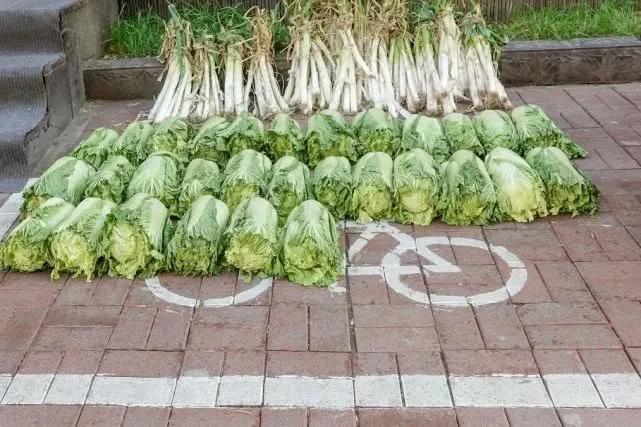 哪个地方的酸菜最正宗,最好吃的酸菜是哪个城市