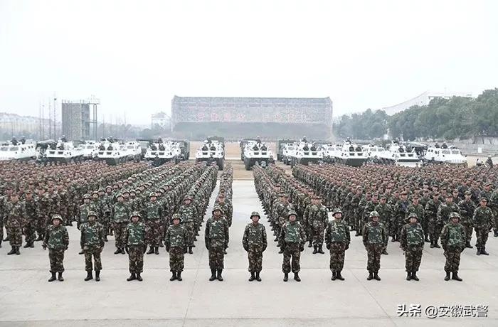 纪实视频,记实记录