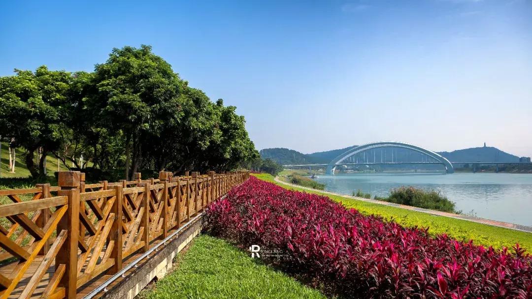 大庆最新扶持政策,南宁城建配套