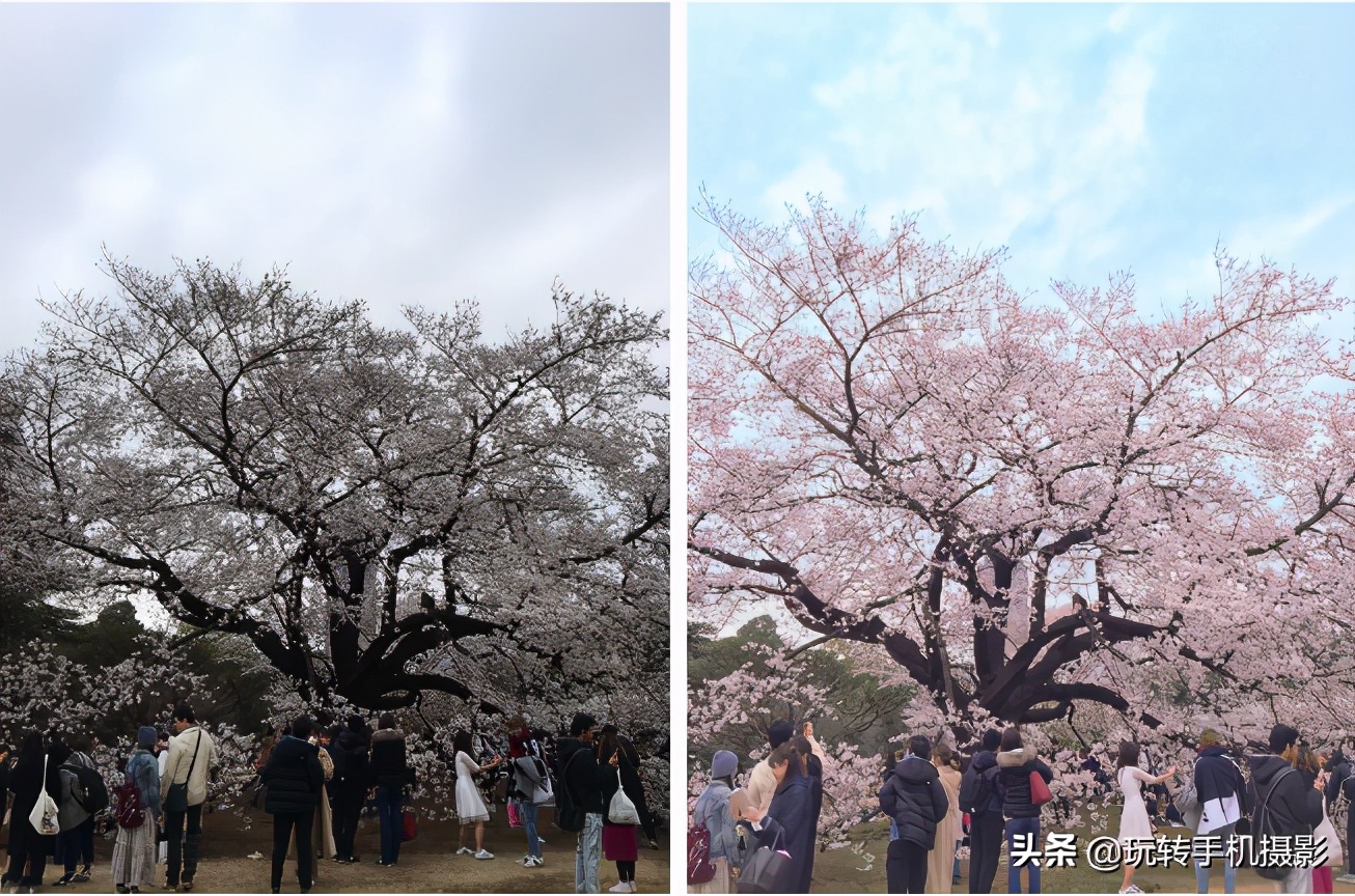 iphone最好用的修图app,不踩坑的旅游攻略软件