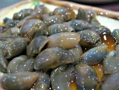 中国海鲜河鲜,市场河鲜海鲜种类大全