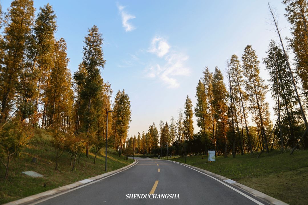 长沙旅游攻略必玩的十大景点介绍,长沙适合秋季打卡的景点