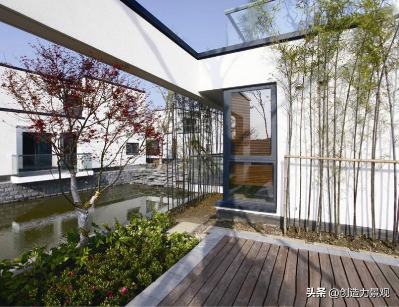 南方庭院种植什么竹子品种最好,庭院适合种什么竹子可以做隔断