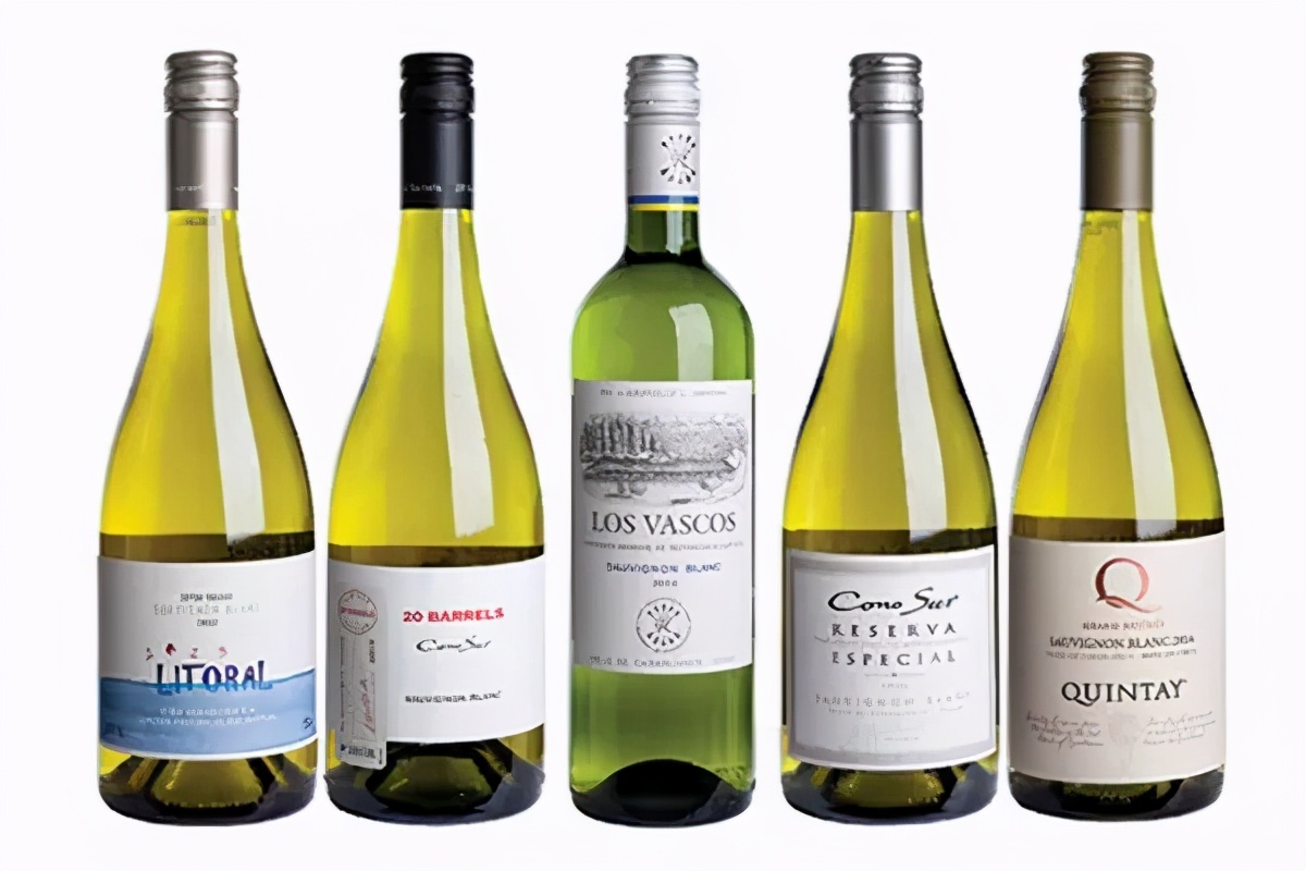 长相思葡萄酒最好的饮用时间,长相思葡萄酒的口感层次和特征