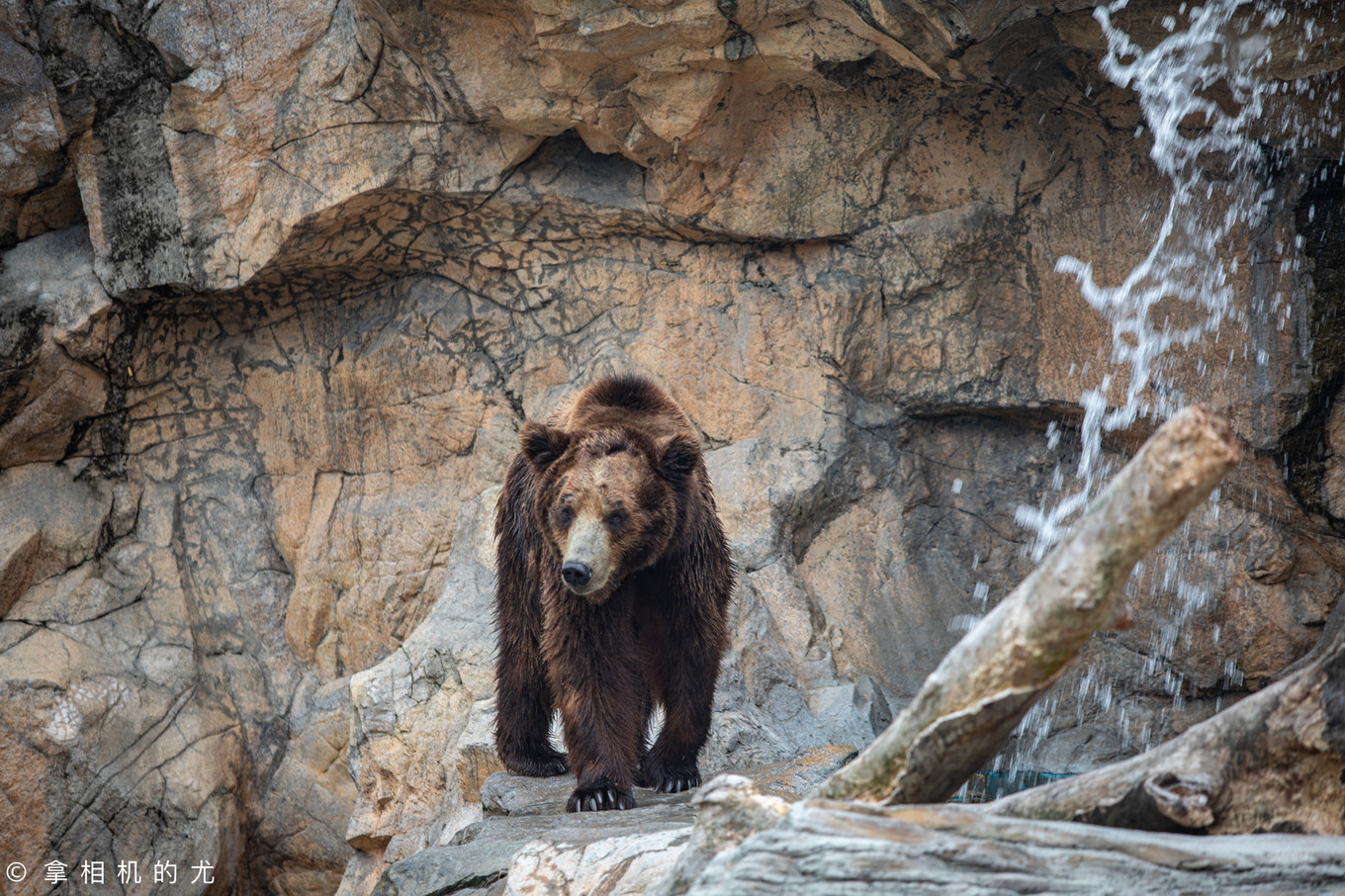 珠海横琴长隆海洋王国游玩全攻略,珠海长隆海洋王国跟香港海洋公园