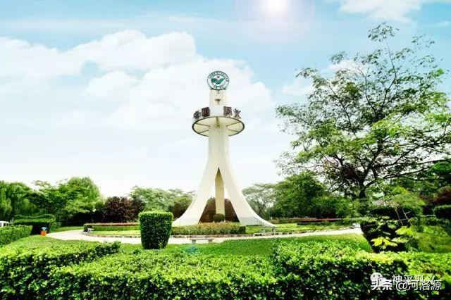 巩义腾飞,腾飞吧高淳