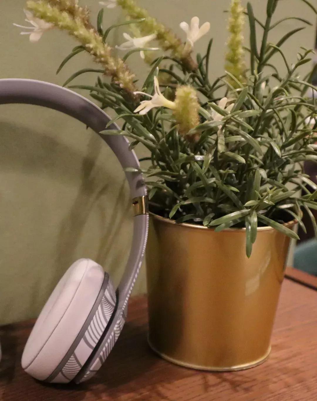 beatssolo3wireless音质测评,beatssolo3wireless体验